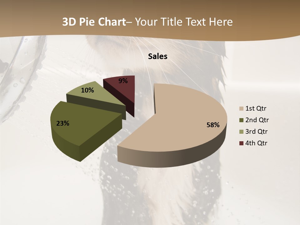 Bathroom Shower Water PowerPoint Template