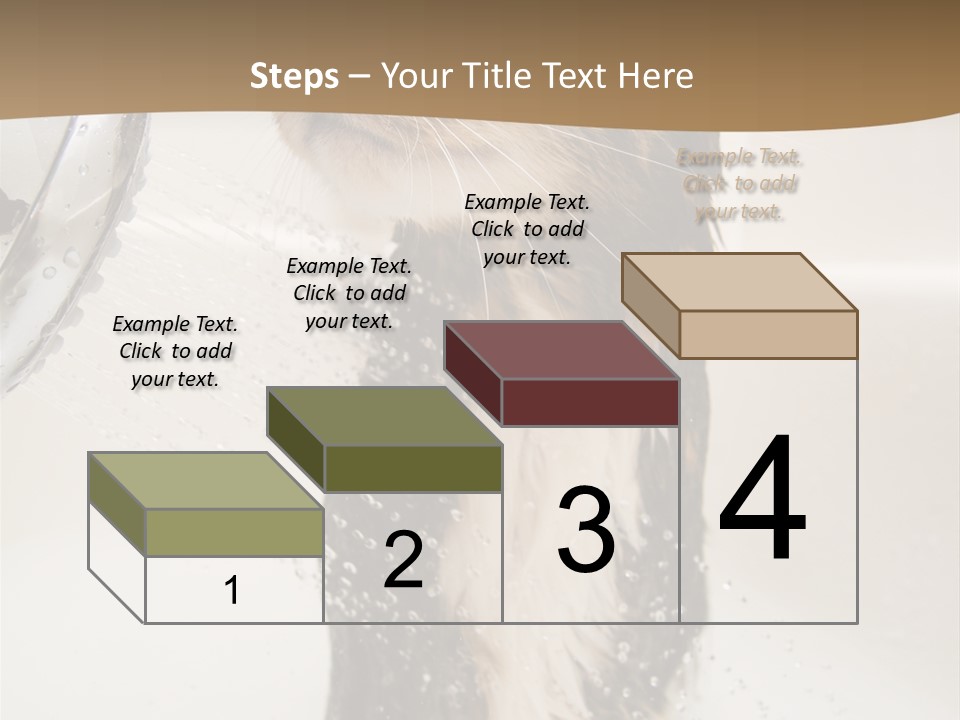 Bathroom Shower Water PowerPoint Template