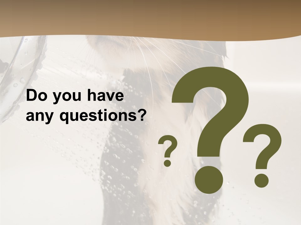 Bathroom Shower Water PowerPoint Template