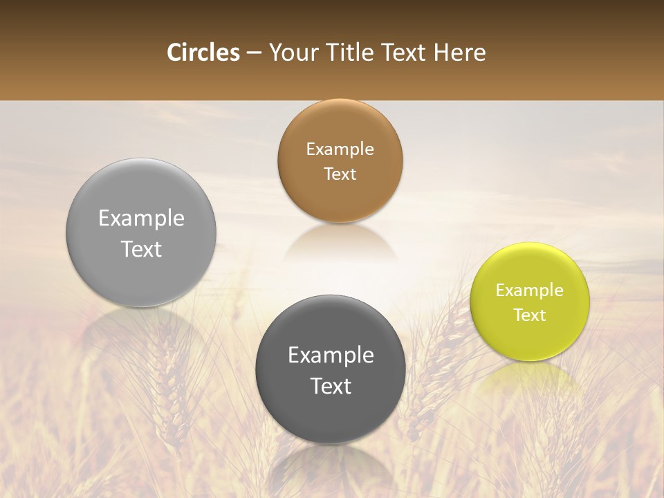 Golden Ideas Growth PowerPoint Template