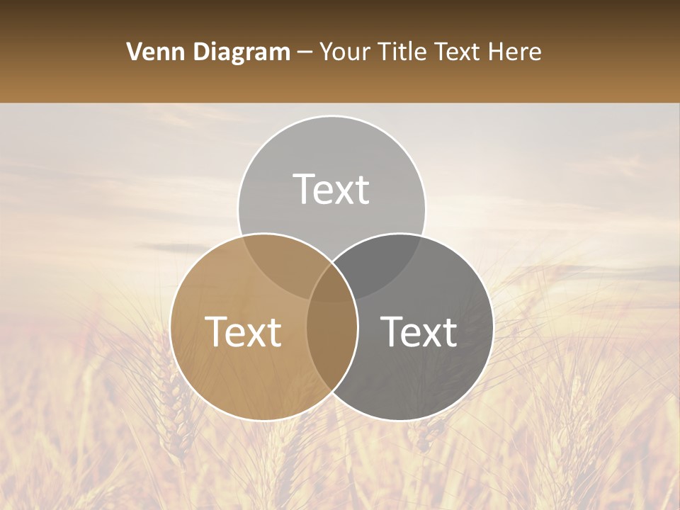 Golden Ideas Growth PowerPoint Template