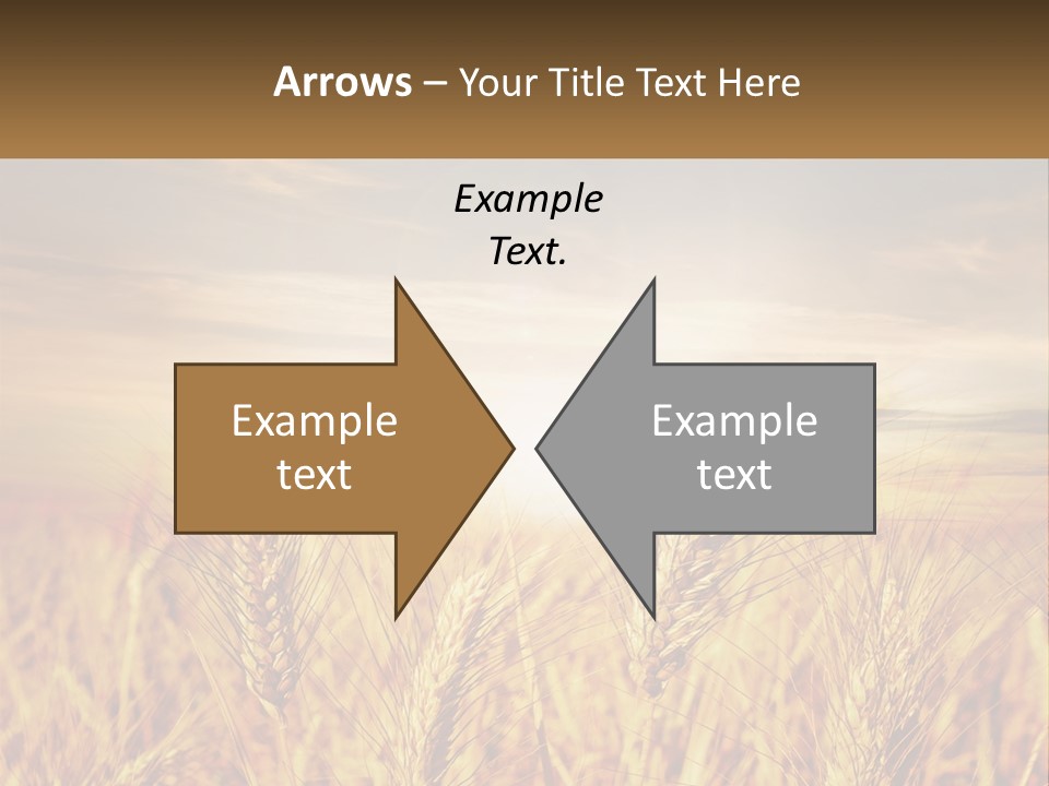 Golden Ideas Growth PowerPoint Template