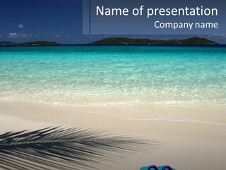A Shadow Of A Palm Tree On A Beach PowerPoint Template
