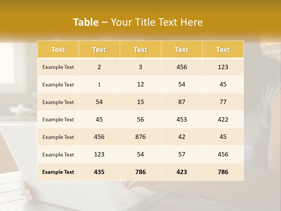 Laptop Domestic Wifi PowerPoint Template
