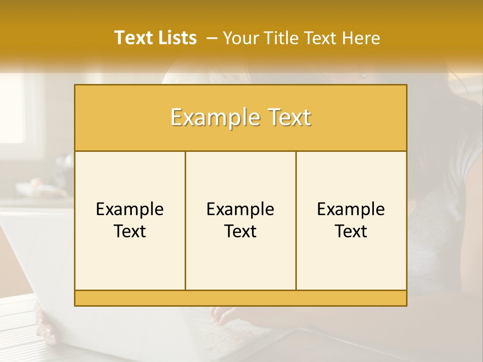 Laptop Domestic Wifi PowerPoint Template