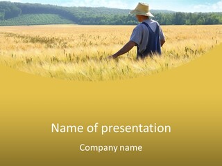 Farmland Grain Nature PowerPoint Template