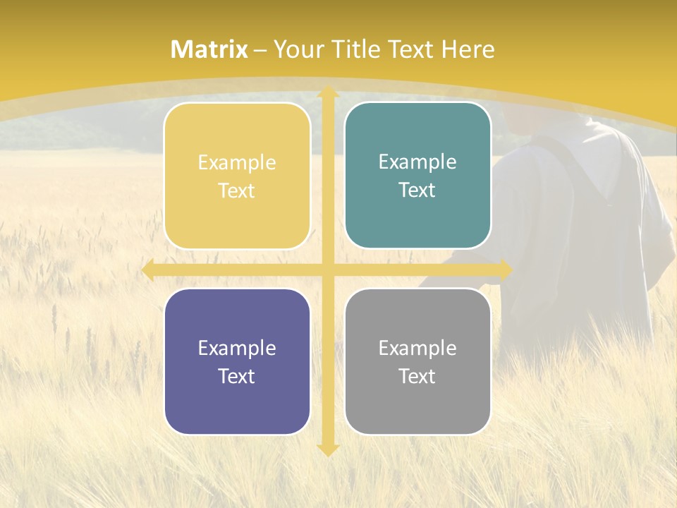 Farmland Grain Nature PowerPoint Template