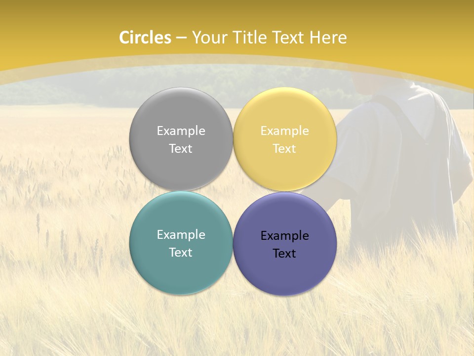 Farmland Grain Nature PowerPoint Template