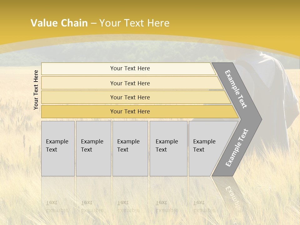 Farmland Grain Nature PowerPoint Template