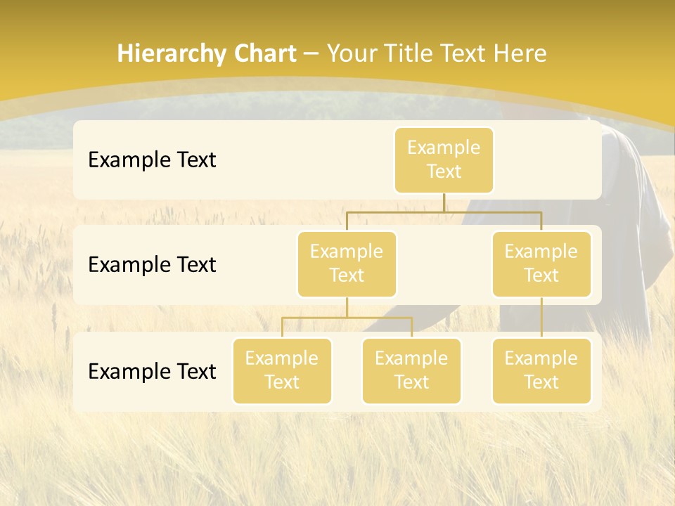 Farmland Grain Nature PowerPoint Template