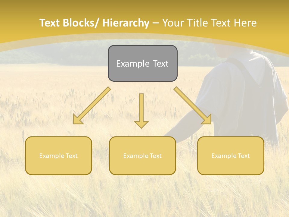 Farmland Grain Nature PowerPoint Template