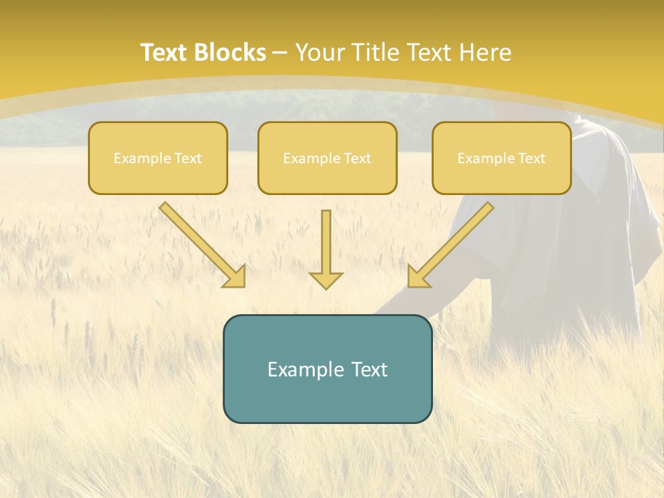 Farmland Grain Nature PowerPoint Template
