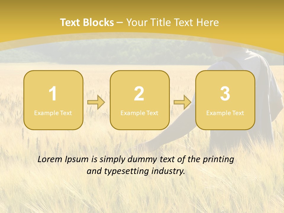 Farmland Grain Nature PowerPoint Template