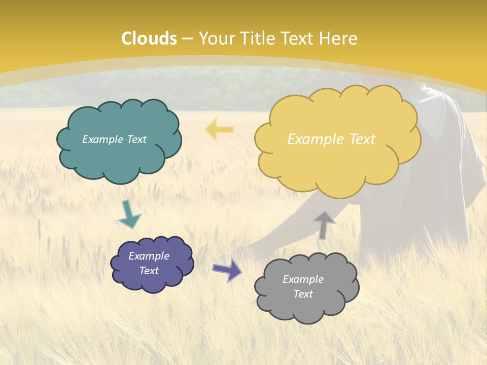 Farmland Grain Nature PowerPoint Template