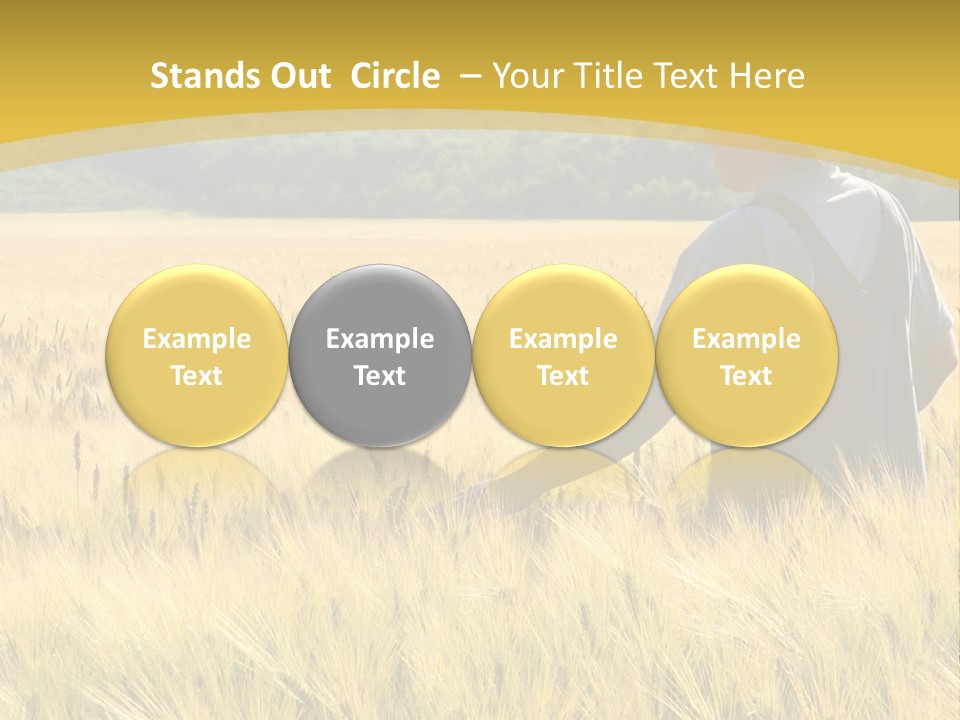 Farmland Grain Nature PowerPoint Template