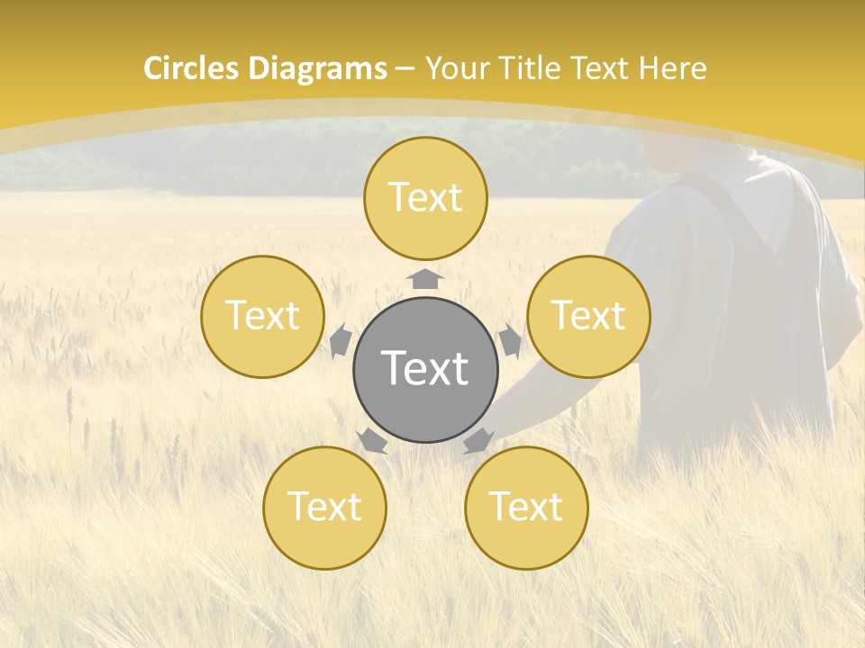 Farmland Grain Nature PowerPoint Template