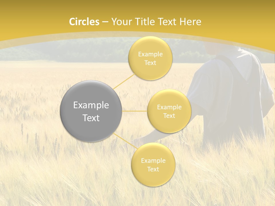 Farmland Grain Nature PowerPoint Template