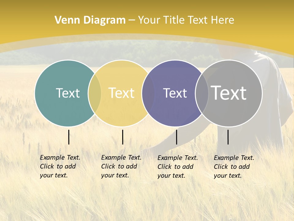Farmland Grain Nature PowerPoint Template
