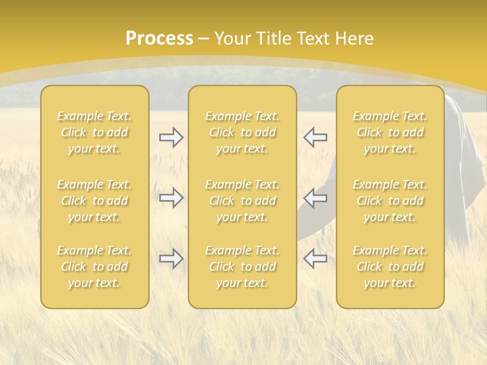 Farmland Grain Nature PowerPoint Template