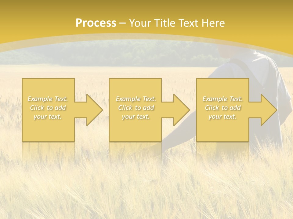 Farmland Grain Nature PowerPoint Template