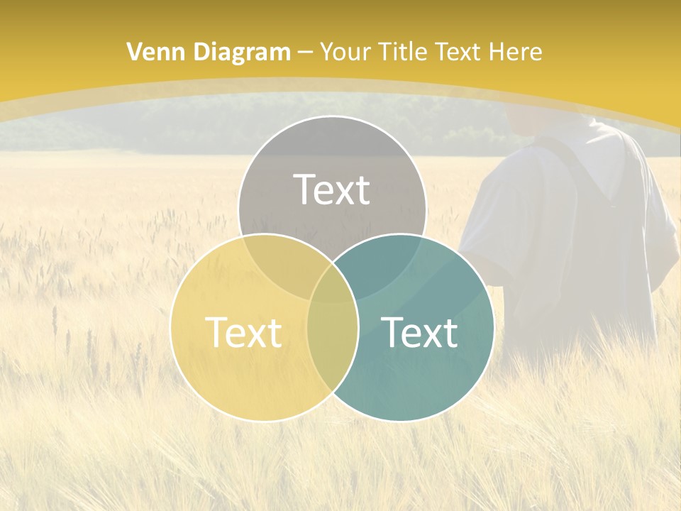 Farmland Grain Nature PowerPoint Template