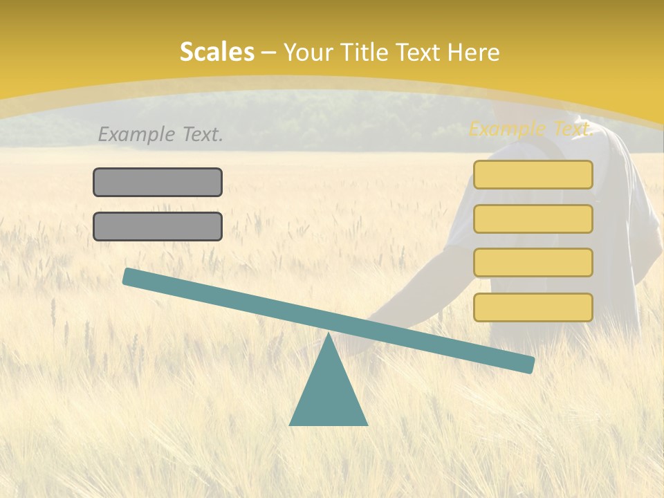 Farmland Grain Nature PowerPoint Template