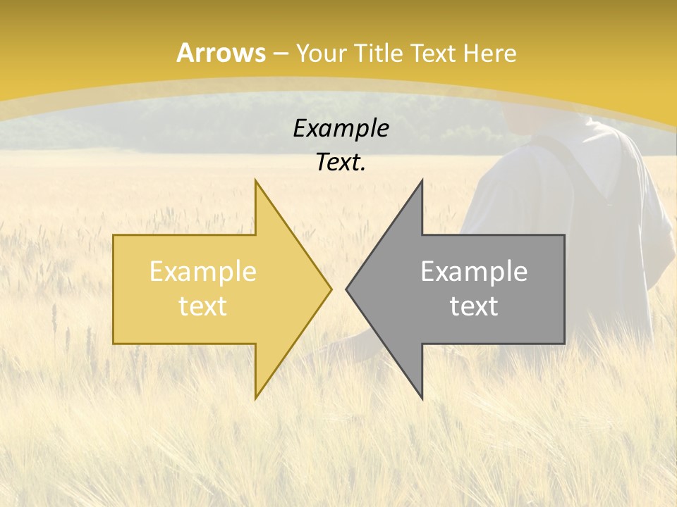 Farmland Grain Nature PowerPoint Template