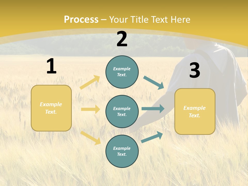 Farmland Grain Nature PowerPoint Template