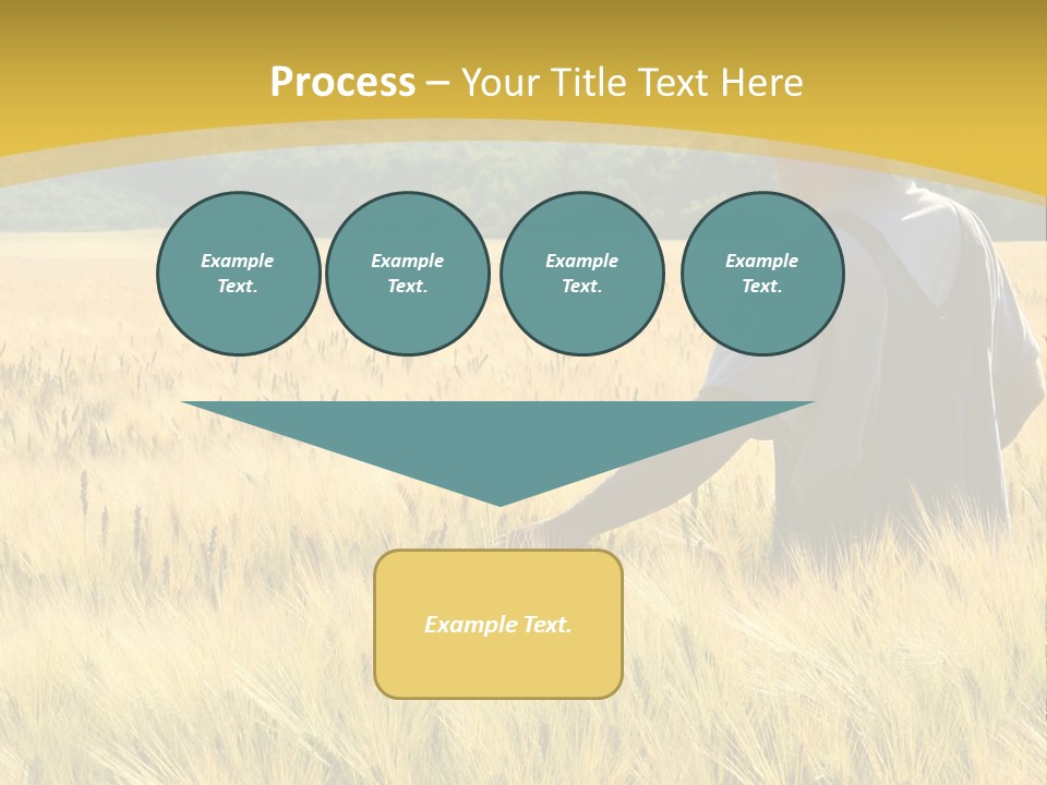 Farmland Grain Nature PowerPoint Template