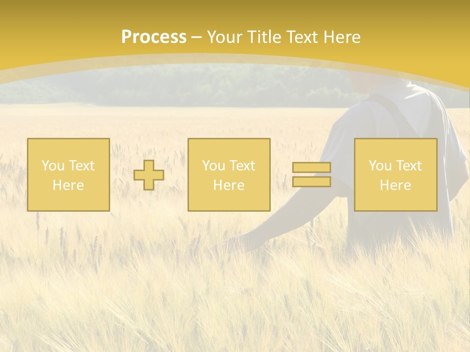 Farmland Grain Nature PowerPoint Template