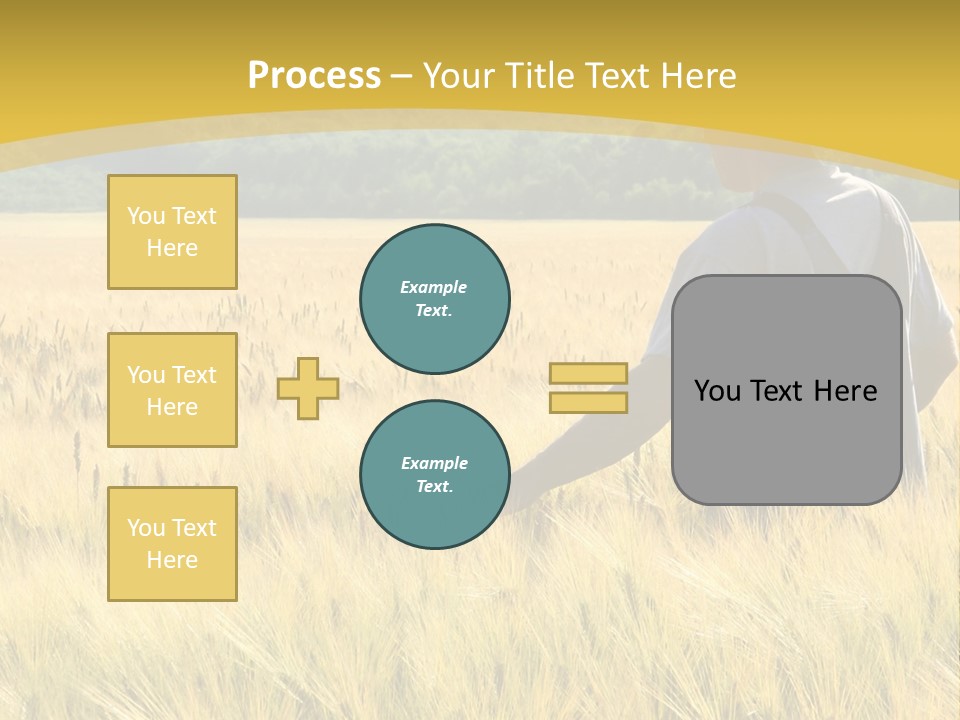 Farmland Grain Nature PowerPoint Template