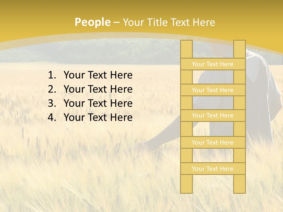 Farmland Grain Nature PowerPoint Template