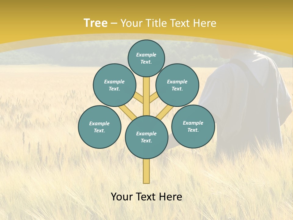Farmland Grain Nature PowerPoint Template