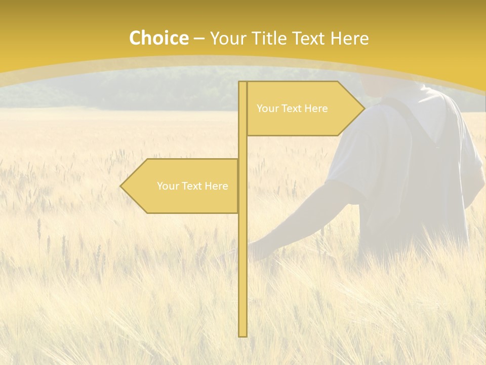Farmland Grain Nature PowerPoint Template