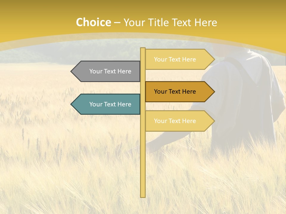Farmland Grain Nature PowerPoint Template
