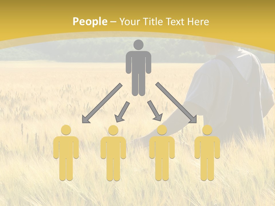 Farmland Grain Nature PowerPoint Template