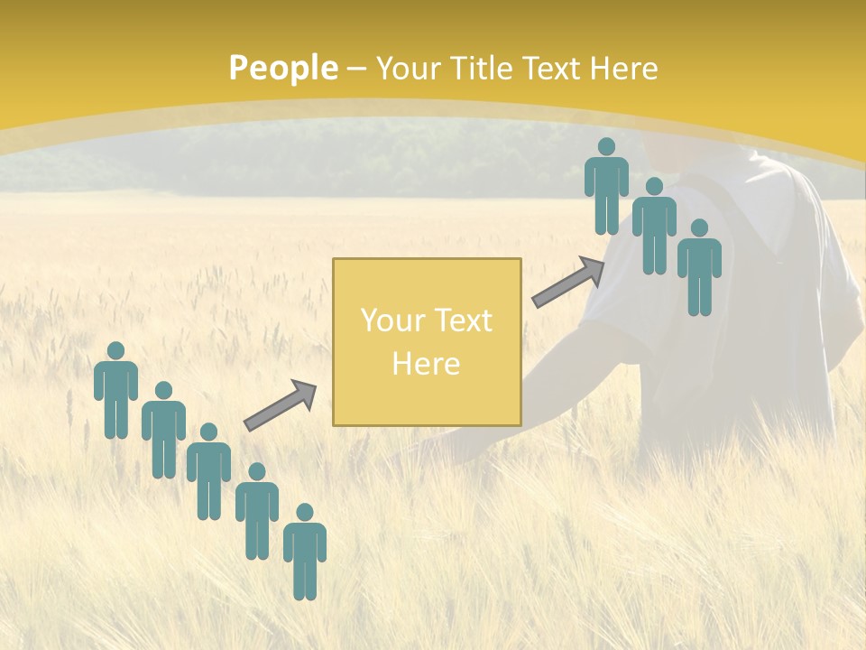 Farmland Grain Nature PowerPoint Template