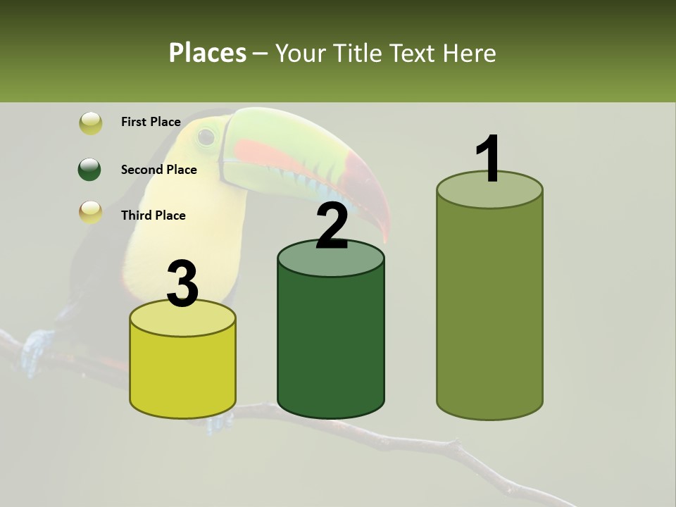 Green Nature Bill PowerPoint Template