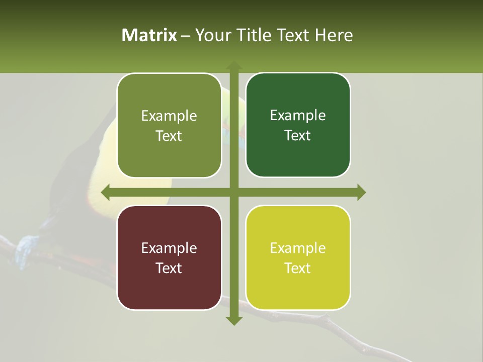 Green Nature Bill PowerPoint Template