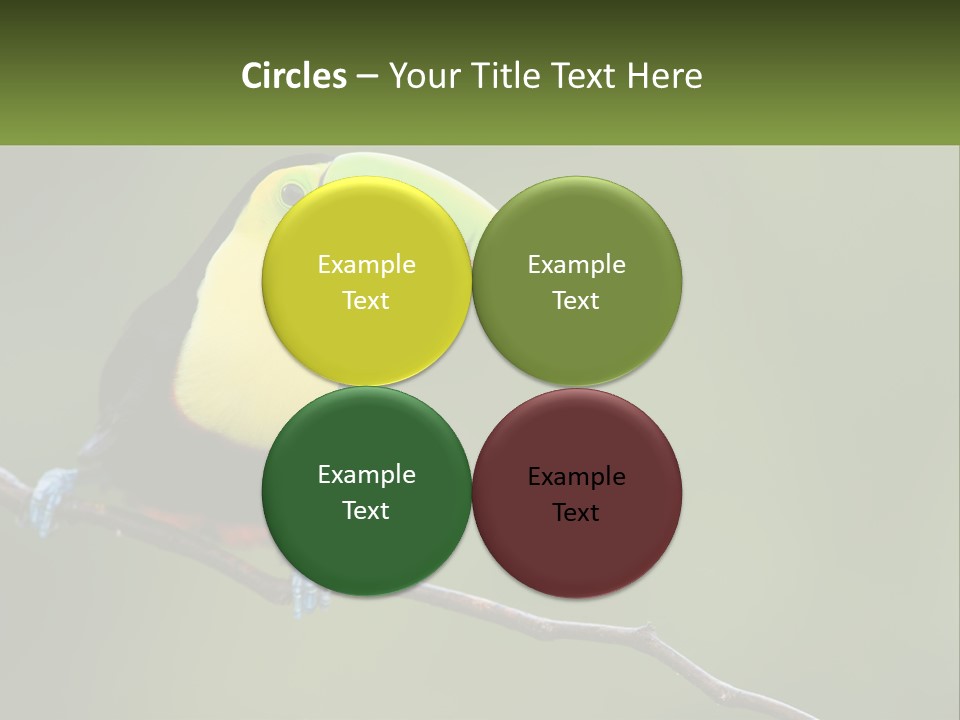 Green Nature Bill PowerPoint Template