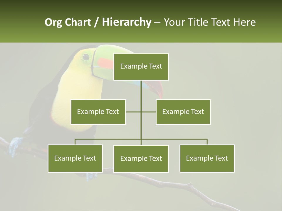 Green Nature Bill PowerPoint Template