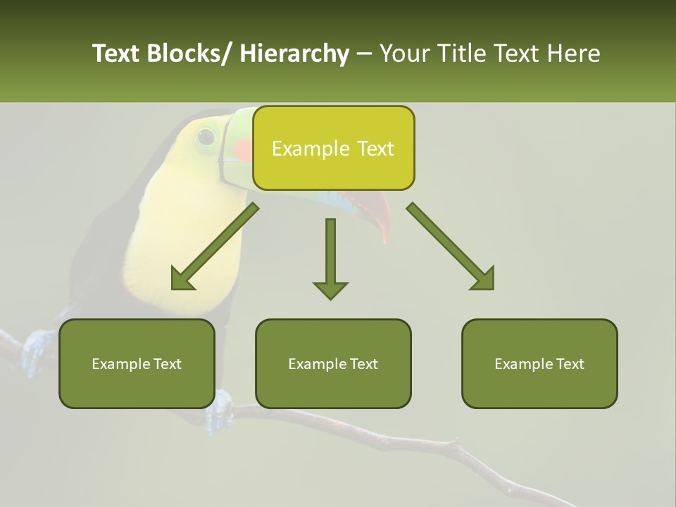 Green Nature Bill PowerPoint Template