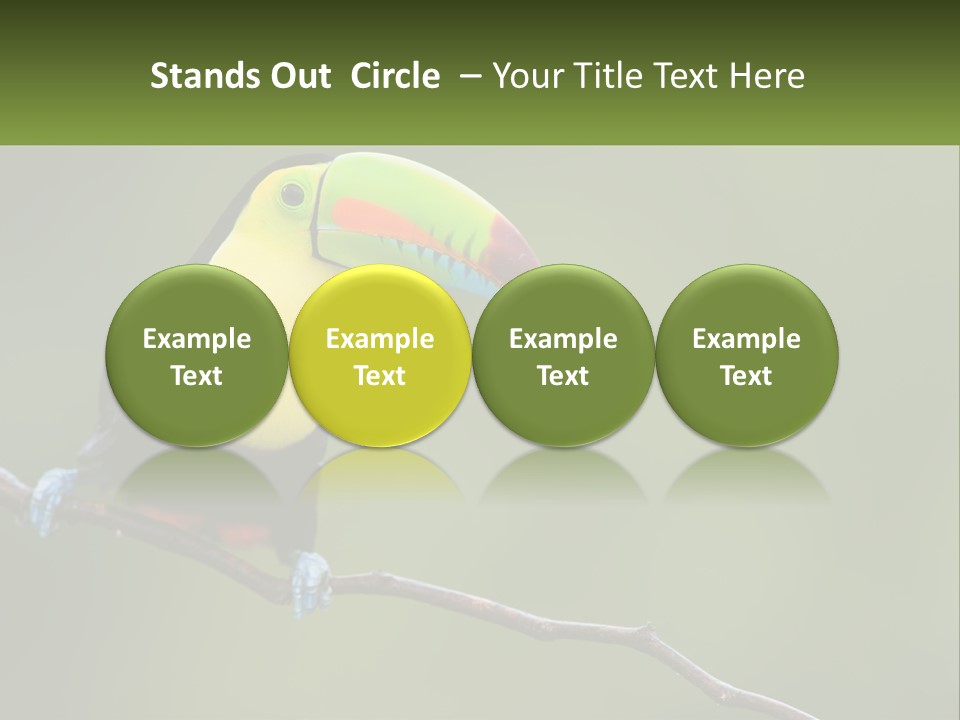 Green Nature Bill PowerPoint Template