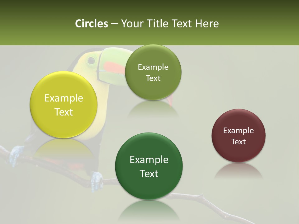 Green Nature Bill PowerPoint Template