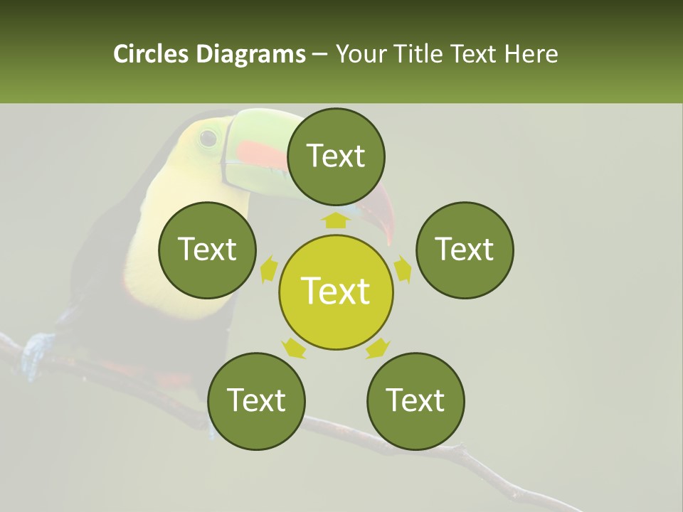 Green Nature Bill PowerPoint Template