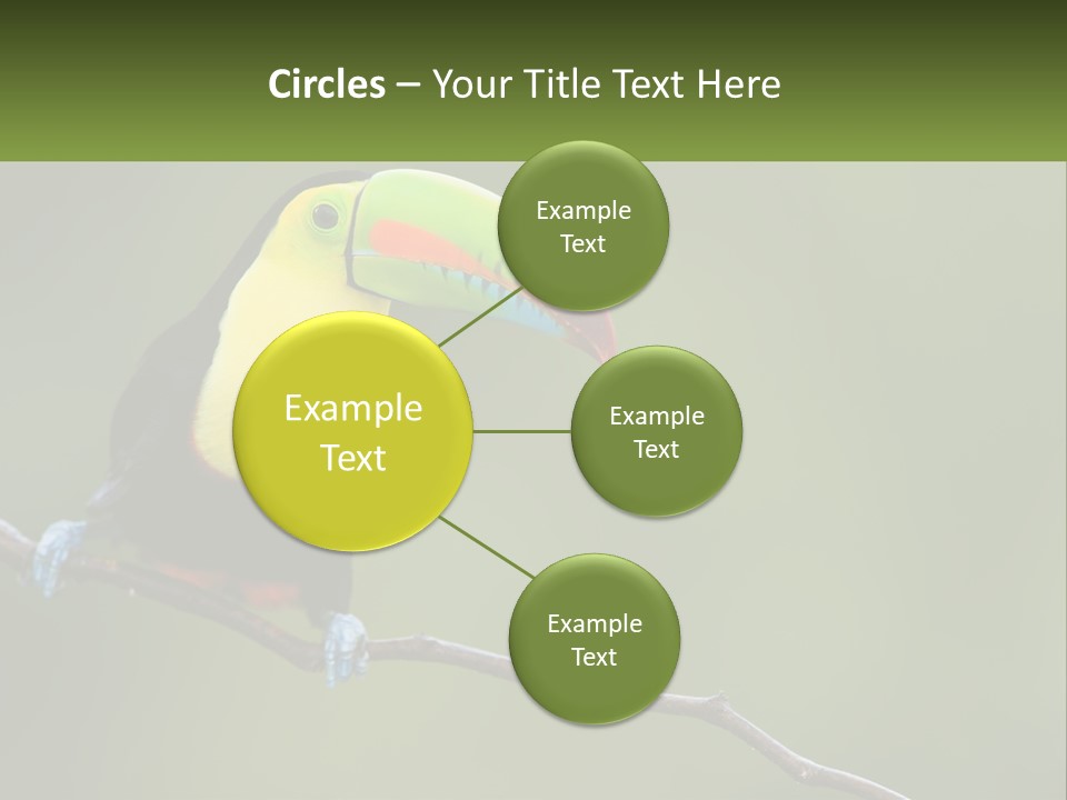 Green Nature Bill PowerPoint Template