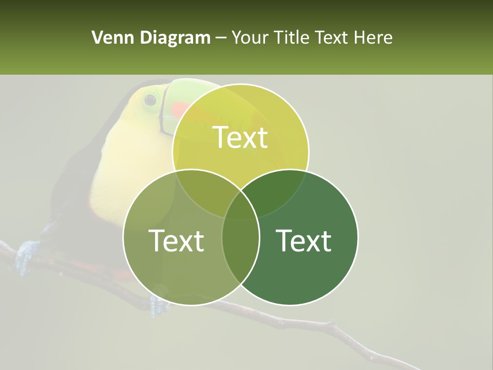 Green Nature Bill PowerPoint Template