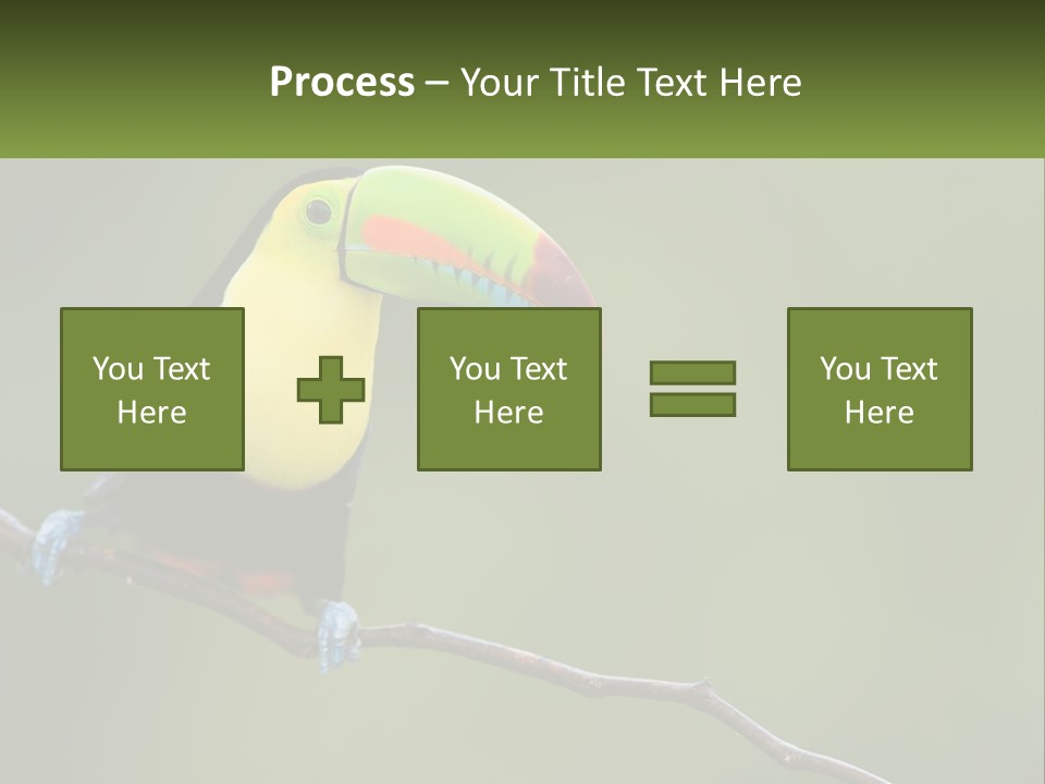 Green Nature Bill PowerPoint Template