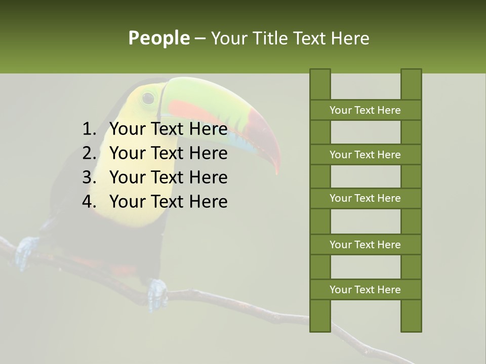 Green Nature Bill PowerPoint Template