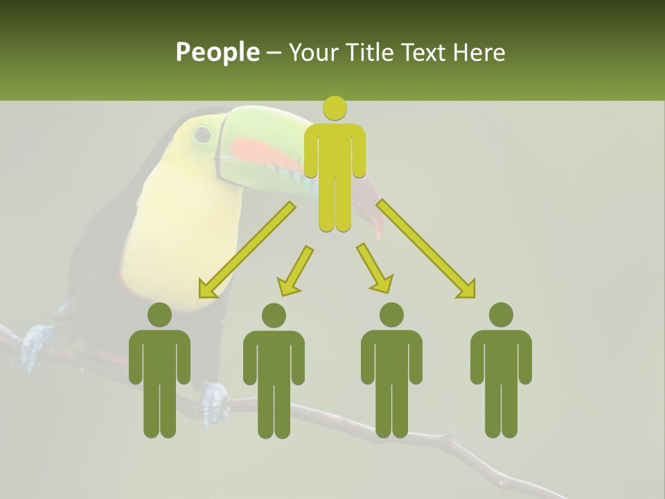 Green Nature Bill PowerPoint Template